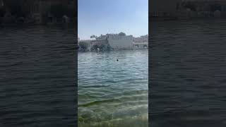 Swimming ￼ in Pichola Lake with beautiful view manica [upl. by Emelita205]