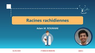 UI5  Racines rachidiennes [upl. by Kooima221]