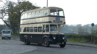 Birmingham Corporation amp West Midland Buses at Wythall Bus Museum open day [upl. by Bywoods]