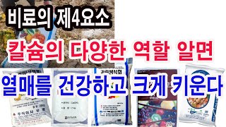 석회비료 칼슘비료 비료의 제4요소 칼슘의 다양한 역할 알면 열매를 건강하고 우량하게 키울 수 있다석회비료 칼슘비료 효과 석회비료역할 칼슘비료 역할 토양개량 [upl. by Meill]