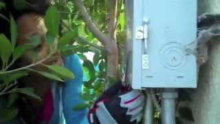 How To Open An Outdoor Electrical Box [upl. by Martinez]