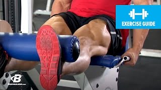 SingleLeg Glute Bridge with Hip Flexion [upl. by Atinahs130]