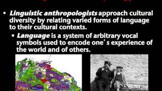 Introduction to Anthropology [upl. by Eelrahc]