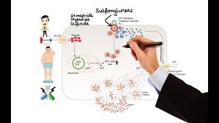 Pharmacology  DRUGS FOR DIABETES MADE EASY [upl. by Esmond840]