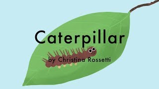 Caterpillar by Christina Rossetti  A Childrens Poem [upl. by Ambur]