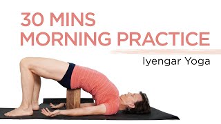 Iyengar Yoga for Beginners [upl. by Atirihs]