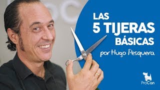 ¿QUE TIJERAS NECESITAS PARA CORTAR EL PELO A UN PERRO  PELUQUERIA CANINA [upl. by Erelia288]