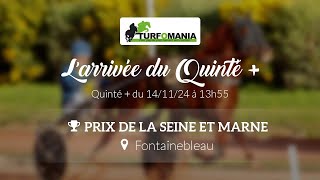 Turfomania Arrivée quinté du Jeudi 14 Novembre 2024 [upl. by Delcine916]