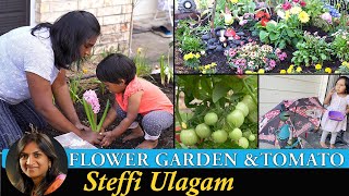 Flower Garden in Tamil  Growing tomatoes in Tamil [upl. by Nadabb47]