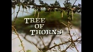 Acacia Tree of Thorns 1983 [upl. by Yatnahc]