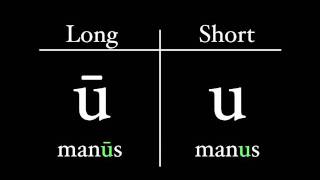 The Latin Alphabet  Vowel Pronunciation [upl. by Revert]