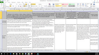 How to Create a Literature Matrix Excel [upl. by Yesac116]