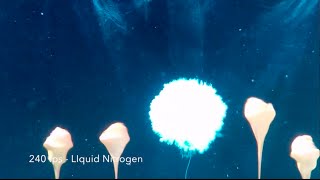 Underwater Explosions  Slow Motion Dry Ice Bomb [upl. by Aihsital]