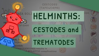 Helminths Cestodes and Trematodes transmission clinical importance and treatment [upl. by Ramedlav]