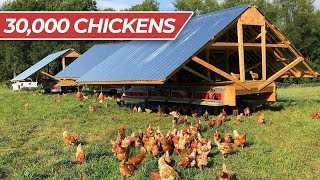 LIVE Tour Joes Farm Pastured Poultry [upl. by Ydnys]