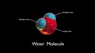 Water Molecules  Arbor Scientific [upl. by Shaffert417]