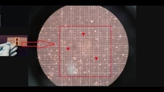 Hemocytometer  Counting of cells  Amrita University [upl. by Sila254]