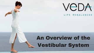 An Overview of the Vestibular System [upl. by Eahsat308]