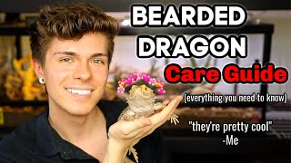 Bearded Dragon Care Guide EVERYTHING you need to know [upl. by Oinoitna159]