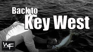 W4F  Fly Fishing Back to Key West [upl. by Einna]