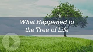 What Happened to the Tree of Life  Paul Nelson [upl. by Nanfa]