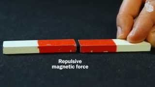 Video Lab Magnetic forces [upl. by Dinsdale]