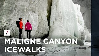 Maligne Canyon Icewalks  Jasper National Park [upl. by Atok528]