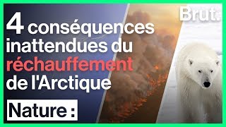 4 conséquences inattendues du réchauffement de lArctique [upl. by Ylen805]