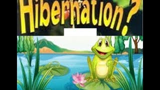 Hibernation Definition for Kids  ToddlersKindergartenPreschoolers [upl. by Nozicka]