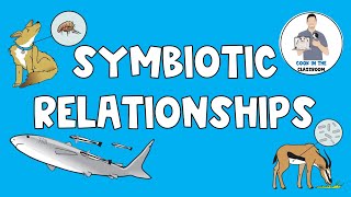 Symbiotic Relationships [upl. by Ainnos466]