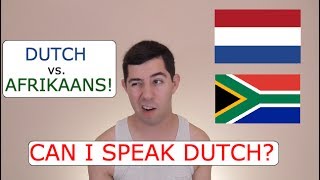 Can I Speak Dutch Dutch vs Afrikaans [upl. by Boffa]