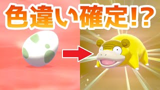 【必見！】色違いが確定で生まれる卵として固定する方法【ポケモン剣盾】 [upl. by Mencher]