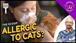 All you need to know about cat allergies amp what you can do about them [upl. by Edgar481]