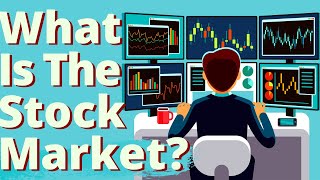 WHAT IS THE STOCK MARKET  The Stock Market Explained [upl. by Nerak]