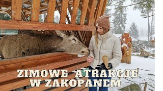 ZAKOPANE ZIMĄ  jakie atrakcje zobaczyć [upl. by Animehliw]