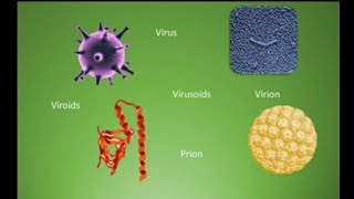 Difference among Virus Virion Viroid Virusoids and Prions  Microorganisms  🤔🤔 [upl. by Sprung]