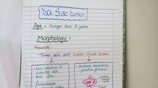 SEMINOMA and NONSEMINOMAS  Testicular Cancers Pathology [upl. by Onitnerolf]