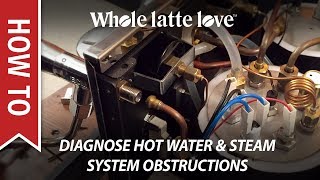 How To Diagnose Espresso Machine Hot Water or Steam System Obstructions [upl. by Prendergast]