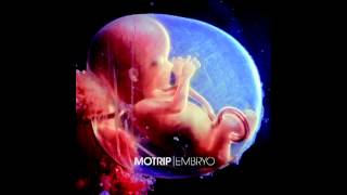 MoTrip  Embryo [upl. by Ymma848]