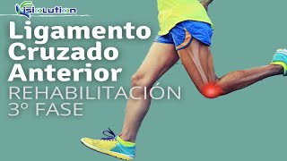 Ligamento Cruzado Anterior  3º FASE  REHABILITACIÓN con EJERCICIOS  Fisiolution [upl. by Anyah472]