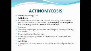 Actinomycosislumpy jaw [upl. by Eninahs]