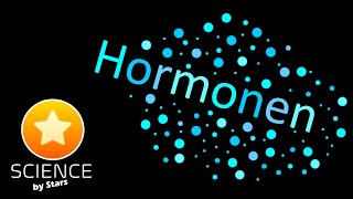 Hormonen [upl. by Belldame]