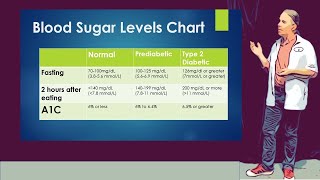 Hunger and the Glycemic Index [upl. by Adnorahs380]