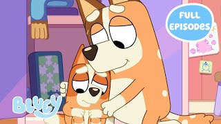 NEW Bluey Season 2 Full Episodes 🧡🍿  Including BINGO MOVIES and more  Bluey [upl. by Nahej]