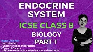 Endocrine System  ICSE CLASS 8 Biology  Part  1 [upl. by Enomal453]