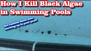 Tips for Swimming Pool Black Algae Removal [upl. by Kei]