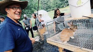 Joel Salatin Teaches Us About Raising Rabbits [upl. by Klusek]