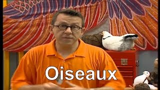 Comment sorientent les oiseaux   Cest pas sorcier [upl. by Asquith]