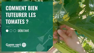 TUTO Comment bien tuteurer les tomates  Jardinerie Gamm vert [upl. by Det964]