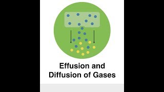 Effusion and Diffusion of Gases [upl. by Royal]